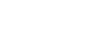 My Webteam WordPress Certified